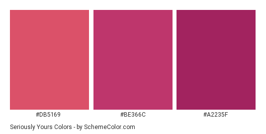 Seriously Yours - Color scheme palette thumbnail - #db5169 #be366c #a2235f 
