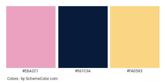 Another Abstract - Color scheme palette thumbnail - #eba2c1 #061c3a #fad583 