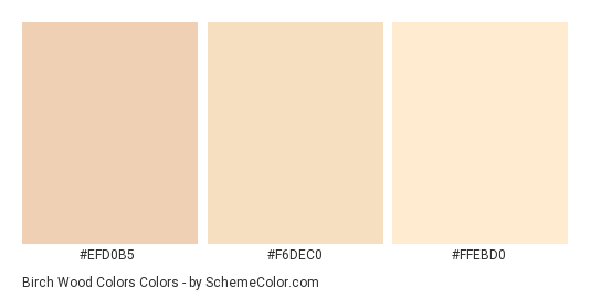 Birch Wood Colors - Color scheme palette thumbnail - #efd0b5 #f6dec0 #ffebd0 