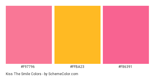 Kiss the Smile - Color scheme palette thumbnail - #f97796 #ffba23 #f86391 
