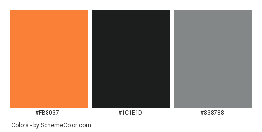 Black Roses for Halloween - Color scheme palette thumbnail - #fb8037 #1c1e1d #838788 