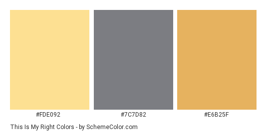 This is My Right - Color scheme palette thumbnail - #fde092 #7c7d82 #e6b25f 