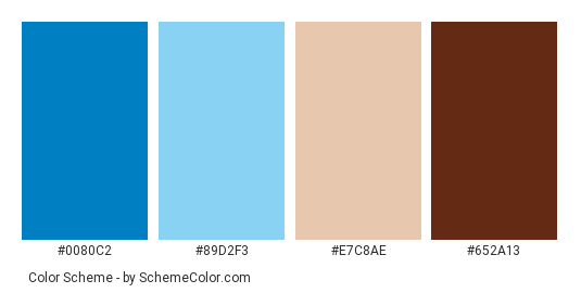 Aged scene weather - Color scheme palette thumbnail - #0080c2 #89d2f3 #e7c8ae #652a13 