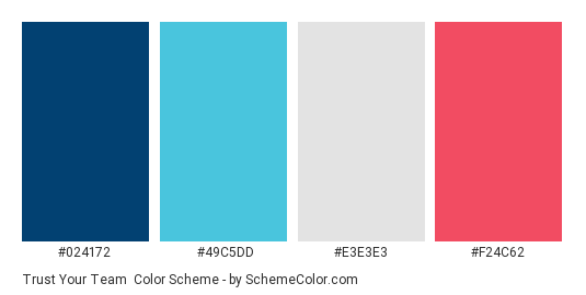 Trust Your team - Color scheme palette thumbnail - #024172 #49C5DD #E3E3E3 #F24C62 