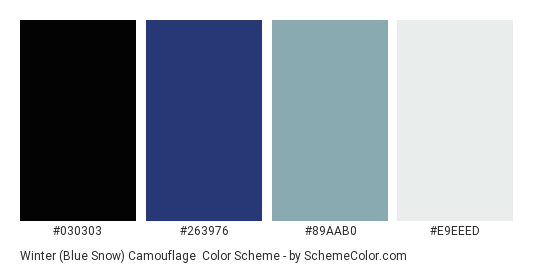 Winter (Blue Snow) Camouflage - Color scheme palette thumbnail - #030303 #263976 #89aab0 #e9eeed 