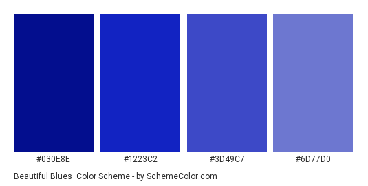 Beautiful Blues - Color scheme palette thumbnail - #030e8e #1223c2 #3d49c7 #6d77d0 
