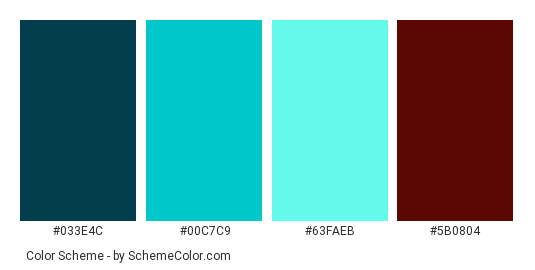 Turtle Wildlife - Color scheme palette thumbnail - #033e4c #00c7c9 #63faeb #5b0804 