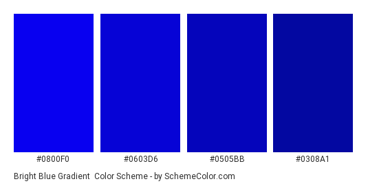 Bright Blue Gradient - Color scheme palette thumbnail - #0800F0 #0603D6 #0505BB #0308A1 