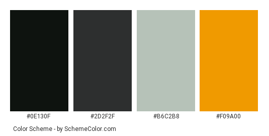 Old Fashioned Camera - Color scheme palette thumbnail - #0E130F #2D2F2F #B6C2B8 #F09A00 