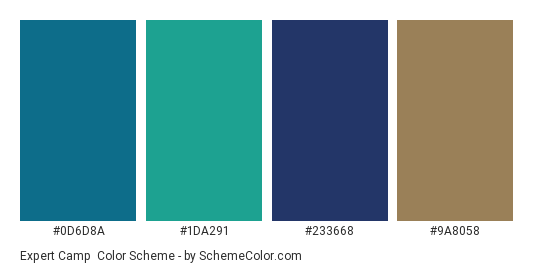 Expert Camp - Color scheme palette thumbnail - #0d6d8a #1da291 #233668 #9a8058 