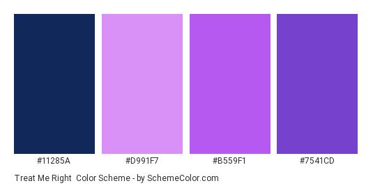 Treat Me Right - Color scheme palette thumbnail - #11285A #D991F7 #B559F1 #7541CD 