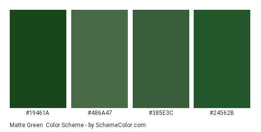 Matte Green - Color scheme palette thumbnail - #19461a #486a47 #385e3c #24562b 
