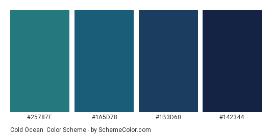 Cold Ocean - Color scheme palette thumbnail - #25787E #1A5D78 #1B3D60 #142344 