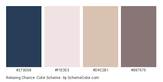 Relaxing Chance - Color scheme palette thumbnail - #273D58 #F1E3E3 #D9C2B1 #887575 