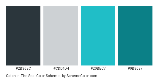Catch in the Sea - Color scheme palette thumbnail - #2B363C #CDD1D4 #20BEC7 #0B8087 