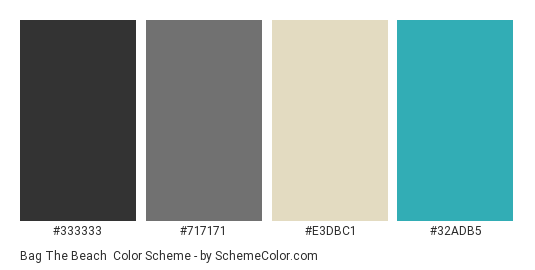 Bag the Beach - Color scheme palette thumbnail - #333333 #717171 #E3DBC1 #32ADB5 