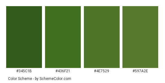 Grass - Color scheme palette thumbnail - #345c1b #436f21 #4e7529 #597a2e 