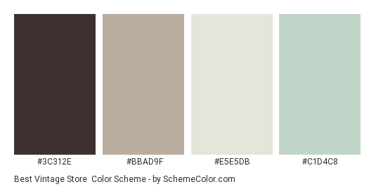 Best Vintage Store - Color scheme palette thumbnail - #3C312E #BBAD9F #E5E5DB #C1D4C8 