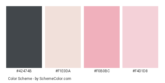 Profile In Pink - Color scheme palette thumbnail - #42474b #f1e0da #f0b0bc #f4d1d8 