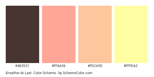 Breather At Last - Color scheme palette thumbnail - #483531 #FFA696 #FDC69D #FFFDA2 