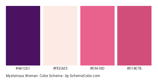 Mysterious Woman - Color scheme palette thumbnail - #4a1261 #feeae5 #e9618d #d14e7b 