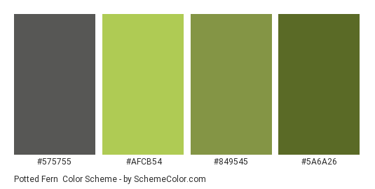 Potted Fern - Color scheme palette thumbnail - #575755 #afcb54 #849545 #5a6a26 