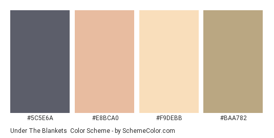 Under the Blankets - Color scheme palette thumbnail - #5C5E6A #E8BCA0 #F9DEBB #BAA782 