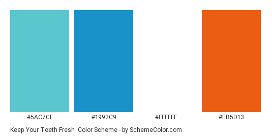 Keep Your Teeth Fresh - Color scheme palette thumbnail - #5ac7ce #1992c9 #ffffff #eb5d13 
