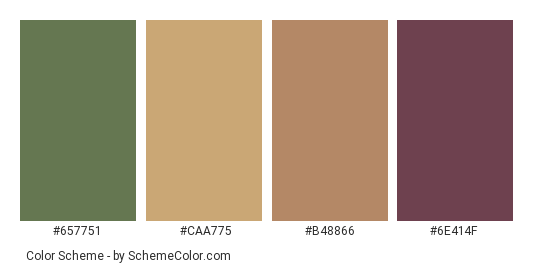 Healing Potion - Color scheme palette thumbnail - #657751 #caa775 #b48866 #6e414f 