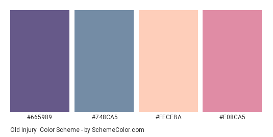 Old Injury - Color scheme palette thumbnail - #665989 #748CA5 #FECEBA #E08CA5 