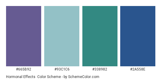 Hormonal Effects - Color scheme palette thumbnail - #665b92 #93c1c6 #338982 #2A558E 