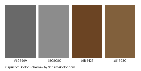 Capricorn - Color scheme palette thumbnail - #696969 #8c8c8c #6b4423 #81603c 