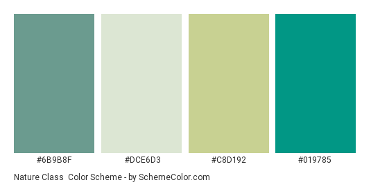 Nature Class - Color scheme palette thumbnail - #6b9b8f #dce6d3 #c8d192 #019785 