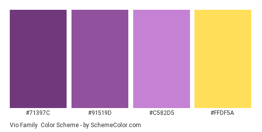 Vio Family - Color scheme palette thumbnail - #71397C #91519D #C582D5 #FFDF5A 