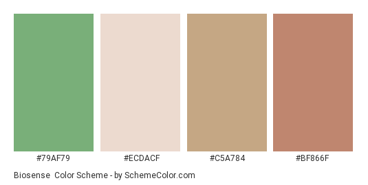Biosense - Color scheme palette thumbnail - #79AF79 #ECDACF #C5A784 #BF866F 
