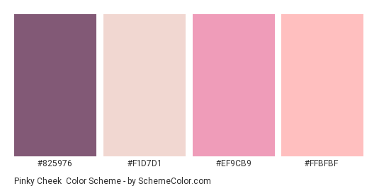 Pinky Cheek - Color scheme palette thumbnail - #825976 #F1D7D1 #EF9CB9 #FFBFBF 