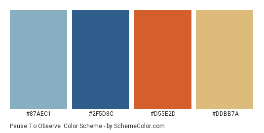 Pause to Observe - Color scheme palette thumbnail - #87AEC1 #2F5D8C #D55E2D #DDBB7A 