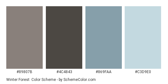 Winter Forest - Color scheme palette thumbnail - #89807B #4C4843 #869FAA #C3D9E0 