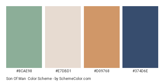 Son of Man - Color scheme palette thumbnail - #8CAE98 #E7DBD1 #D09768 #374D6E 