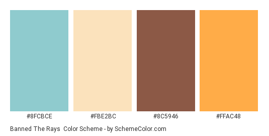 Banned the Rays - Color scheme palette thumbnail - #8fcbce #fbe2bc #8c5946 #ffac48 