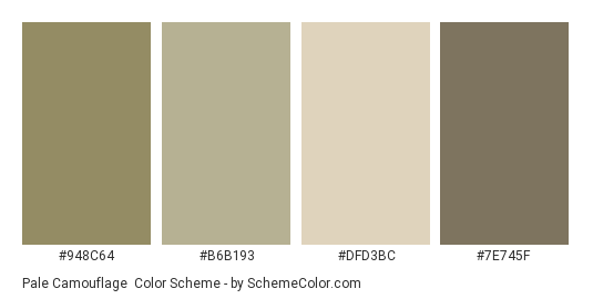 Pale Camouflage - Color scheme palette thumbnail - #948c64 #b6b193 #dfd3bc #7e745f 