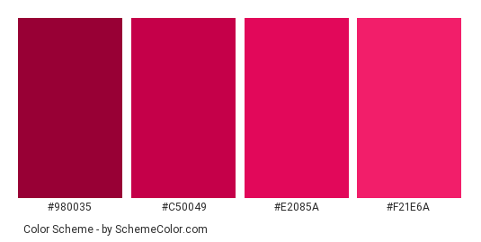 Raspberry Side - Color scheme palette thumbnail - #980035 #c50049 #e2085a #f21e6a 