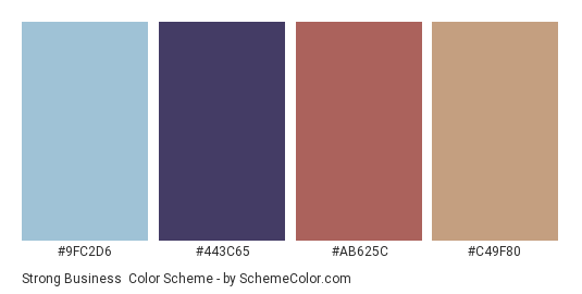 Strong Business - Color scheme palette thumbnail - #9FC2D6 #443C65 #AB625C #C49F80 