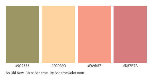 So Old Now - Color scheme palette thumbnail - #9c9666 #fcd39d #f69b87 #d57b7b 