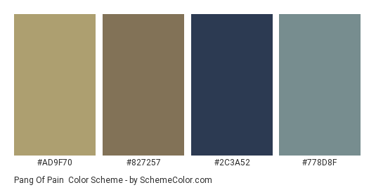 Pang of Pain - Color scheme palette thumbnail - #AD9F70 #827257 #2C3A52 #778D8F 