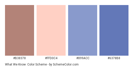 What We Know - Color scheme palette thumbnail - #B38378 #FFD0C4 #899ACC #6378B8 