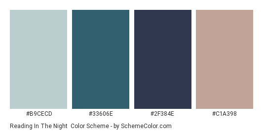 Reading in the Night - Color scheme palette thumbnail - #B9CECD #33606E #2F384E #C1A398 