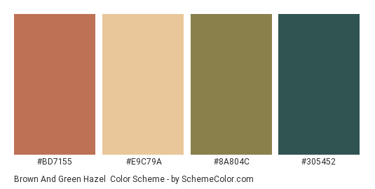 Brown and Green Hazel - Color scheme palette thumbnail - #BD7155 #E9C79A #8A804C #305452 