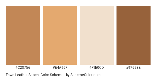 Fawn Leather Shoes Color Scheme » Brown » SchemeColor.com