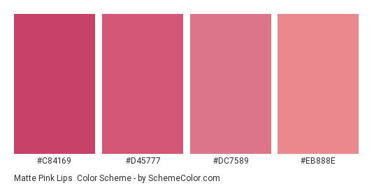 Matte Pink Lips - Color scheme palette thumbnail - #C84169 #D45777 #DC7589 #EB888E 